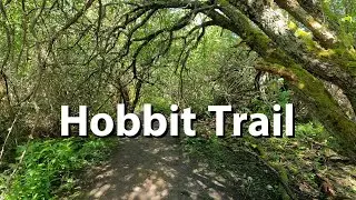 Hiking the Hobbit Trail - A Hidden Washington trail