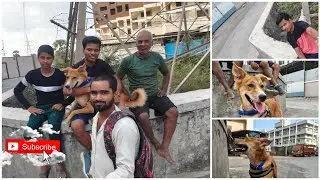 Raj industrial Vasai East 🧿🐶#viralvideo #trending #doggielife #funny #video #youtubevideo #youtube