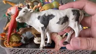 Review 75+ Animal and Dinosaur Toys | ASMR Taping and Droping to bucket