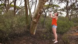 Destination WA - Granite and Woodlands Discovery Trail