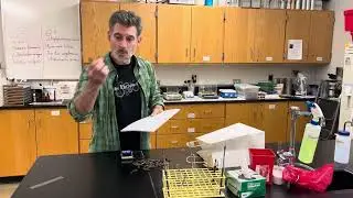 Data Collection Example for Natural History Project