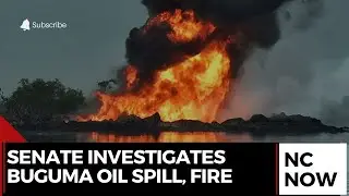 Nigeria&rsquo;s Senate to Probe Buguma Oil Disaster