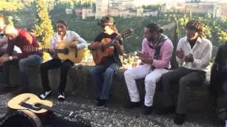 Luis El Gatico at Mirador San Nicolas, Granada 770
