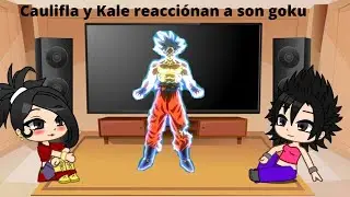 Caulifla y Kale reaccionan a Son Goku🐲🟠🔵 (1/3)