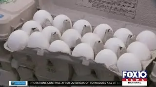 Some folks scrambling to find eggs amidst national egg shortage