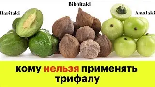 TRIPHALA - who SHOULD NOT use it | Ayurvedic Detox from April 15