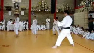 Kihon- Exame de Faixa Branca - Shotokan