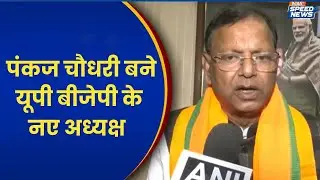 Pankaj Chaudhary Appointed UP BJP President: पंकज चौधरी बने यूपी बीजेपी के नए अध्यक्ष | India TV