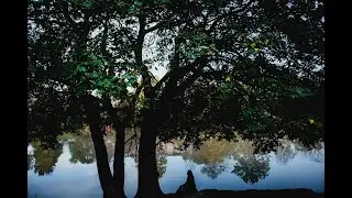 St. Thomas Parks: Pinafore Park