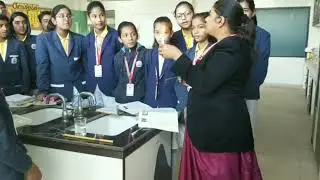 parts of candle flame,#ncert#8#science