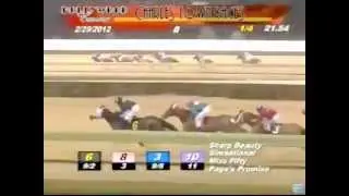 Charles Town Horse Racing Spill Accident Worst Wipeout Ever Seen At  Hollywood Casino Race 8