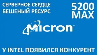 SSD HPE или SSD Micron 5200 max 480Gb MTFDDAK480TDN обзор