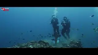 solitude dive and trek joyce carlo anezka christian eric sienna