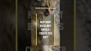 How Many Backlinks Should I Create Per Day? #SEOServices #BuyBacklinks #WebsiteTraffic