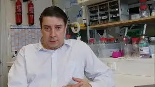 Potravinov&eacute; alergie a celiakie