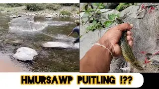 Ngopa Tuivai Lam ah Lendeng ve thung ang aw.. 🐟🐟