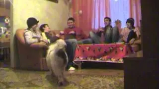 Фильм 