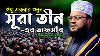 সূরা তিনের তাফসীর | Mawlana Salauddin Chadpuri 2021