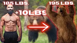 Should You Bulk And Go Bear Mode This Winter?