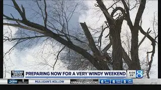 Sunday storm poses downed tree, limb dangers