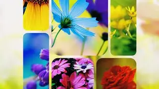 4k story | Status | VideoStory creation #share #status #4k #shorts #Plant #Videostory #story #New#YT