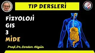 Fizyoloji, Gastrointestinal Sistem, III, Mide Hareketleri,, , Tıp Dersleri, Serdar Akgün