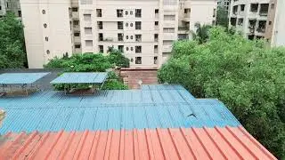 Crow Flying in Slow Motion | Flight | Bird | Feathers | Gliding | Aerodynamic | Air | City Life |