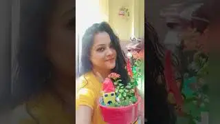 DIY Gardening Ideas #miniaturegarden #diychannel #diy #diyideas #short #subscribe #subscribers