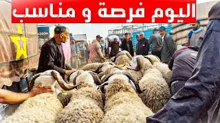 سوق حد سوالم سوق داز حنين الحمد لله 2000  درهم تشري