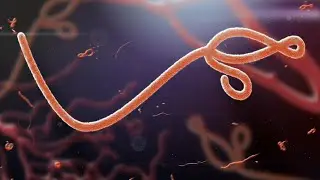 Most common diseases in world #biology #science #shorts #youtubeshorts