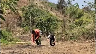 The Good Uncle Received a Lot of Help from the Orphan Who Came to Help
