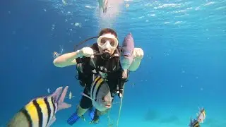 Reef Oasis Blue Bay Resort, Happy New Year 2026