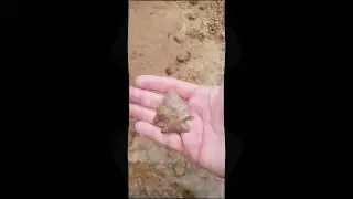 Southern Indiana arrow head hunting