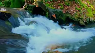 Blue Forest Falls &mdash; Soft Rumble for Deep Rest
