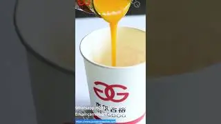 Small Scale Mango Pulp Processing Plant Cost In Vietnam