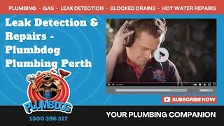 Leak Detection & Repairs - Plumbdog Plumbing Perth [Official Video]