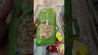 O que compramos com R$127 na Alemanha #curiosidades #dicas #supermercado #europa #viagem #turismo