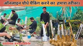 How Plants are packed for online, by courier ☘️ । PVC Pipe packing | Online plants