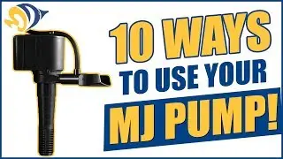 10 helpful ways to use versatile MJ pumps for your reef tank