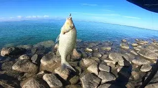ep#9- Catching Emperors from shore with light spinning- Fishing in Mauritius