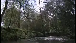 (Part 4) BBC Springwatch 2012 - Episode 2