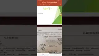 Unit 1 نحو  مرحلة اولى انكليزي مسائي