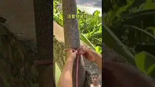 #handytools #knot #diywoodworking #handy #rope #carpentry #diy #handywork
