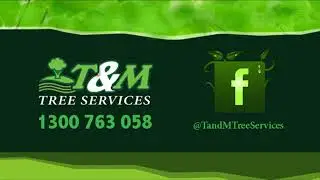Tree Loppers Buccan brisbane Available Here today  Tree Loppers Buccan brisbane