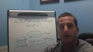 Is Adrenal Fatigue Genetic?