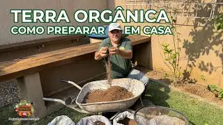 Terra Orgânica | Como Produzir em Casa de Forma Fácil