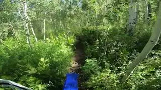 Nate Creek POV