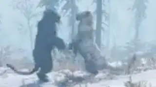 Far Cry&reg; Primal Black Rare lion vs Cave lion PVP
