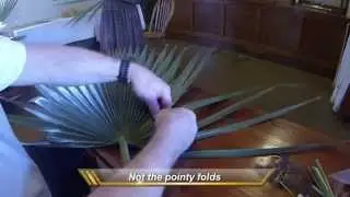Palmetto Basket Class -- Making a Basket from 1 Leaf