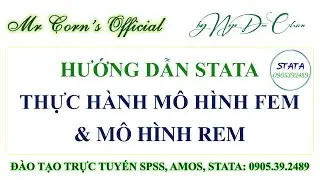 STATA Thực h&agrave;nh M&ocirc; h&igrave;nh FEM & M&ocirc; h&igrave;nh REM tr&ecirc;n STATA 14102023